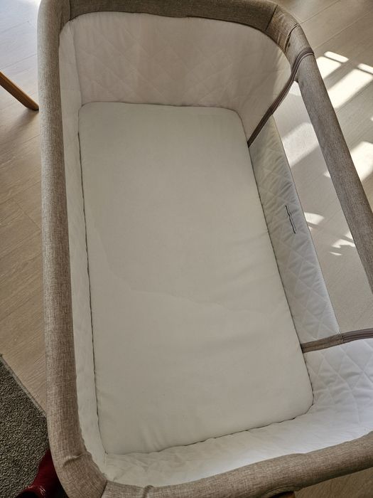 Кошара Chipolino "next to me"