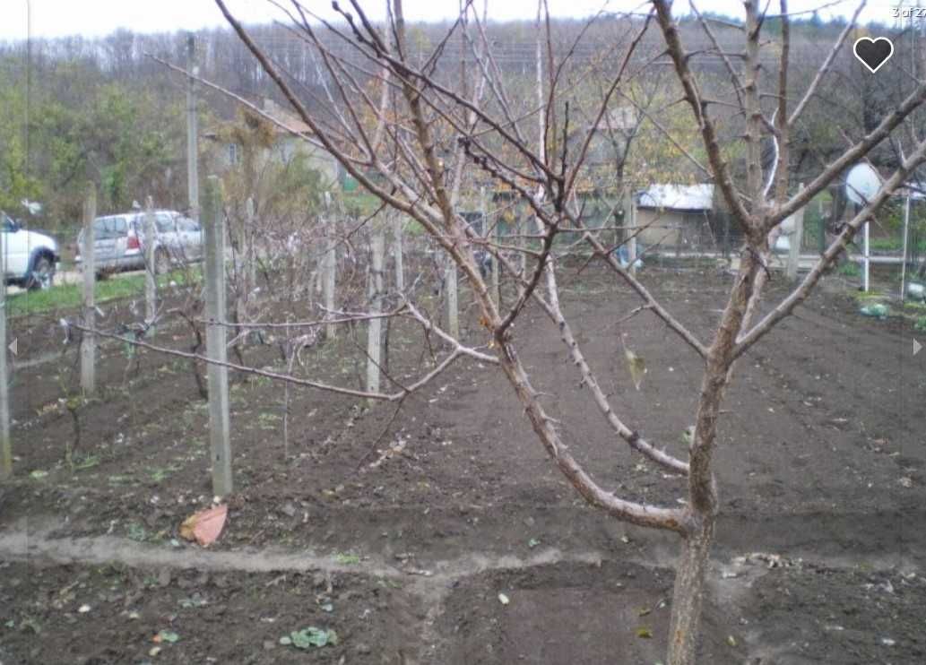 Продава 100 м2 къща с 1200 м2 двор в хубаво село, на 2 км от Дунав