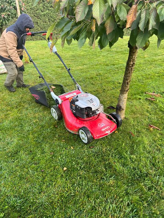 Mașină de tuns gazonul profesională IBEA