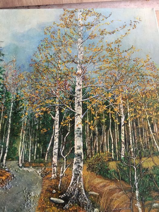 Късна есен на Витоша