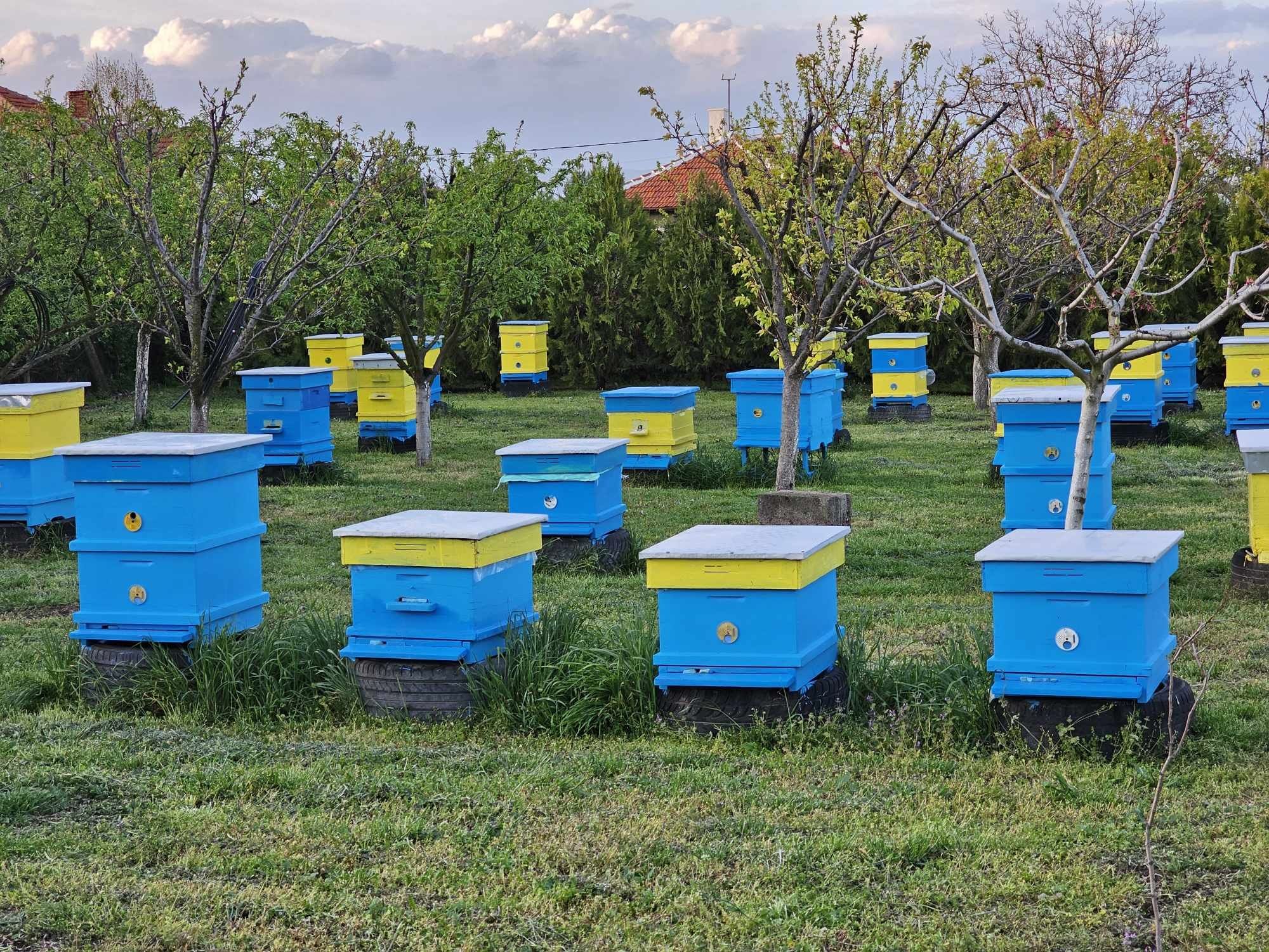 Пчелен мед лично производство