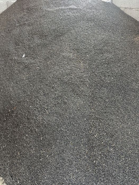 Vand floarea soarelui