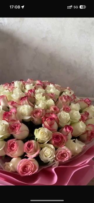 101 роза цветы