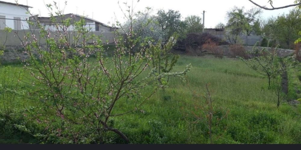 Hovli sotiladi varqda
