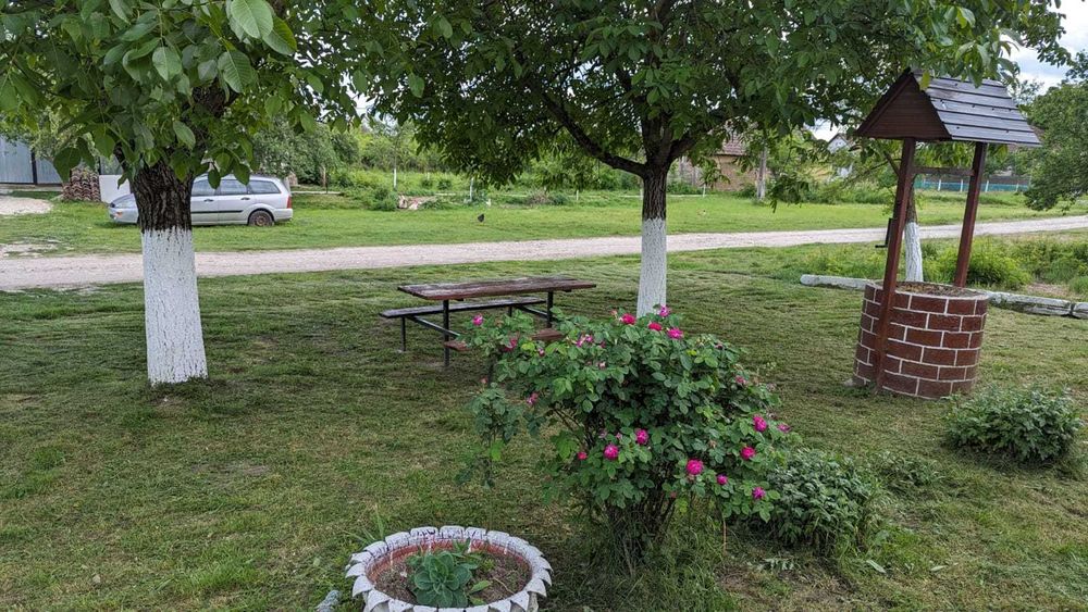 Casa din caramida de vanzare