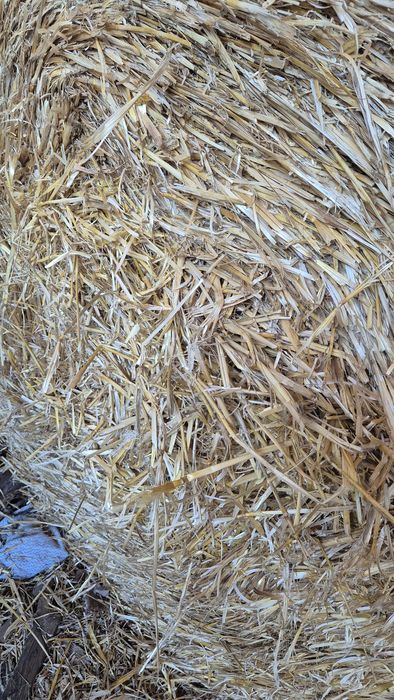 Бали Ролонни  слама  Ечемик и Пшеница