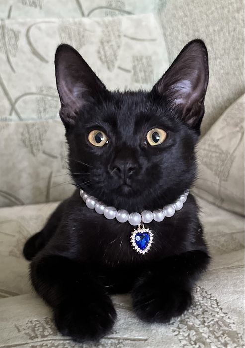 Девочка подросток