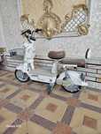 Elektro Skuter Electro scooter Electric scooter