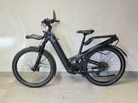 Bicicleta Riese Muller Bosch Speed