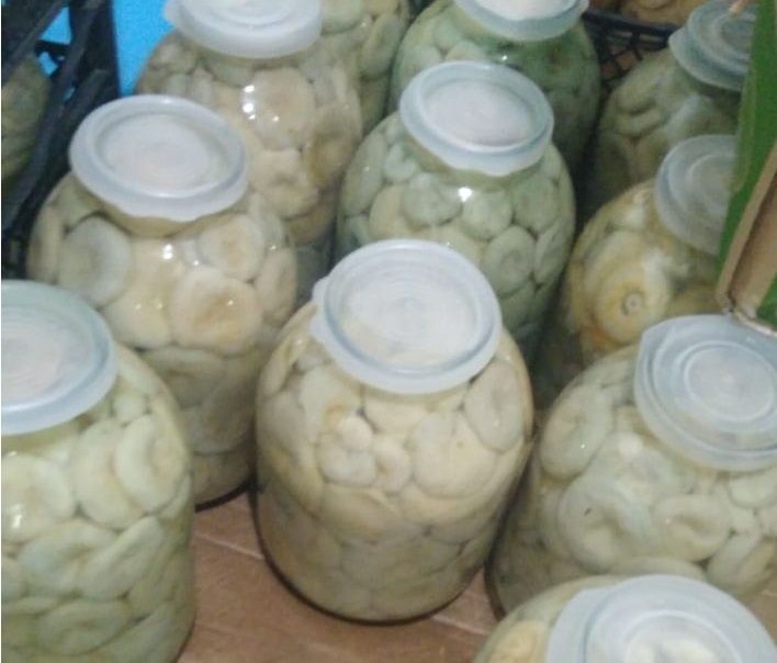 Продам грибы солёные грузди