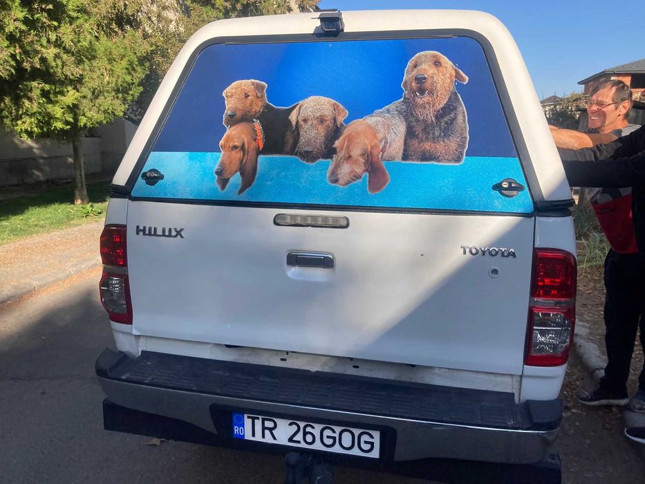colantare auto cu printuri tip reclama