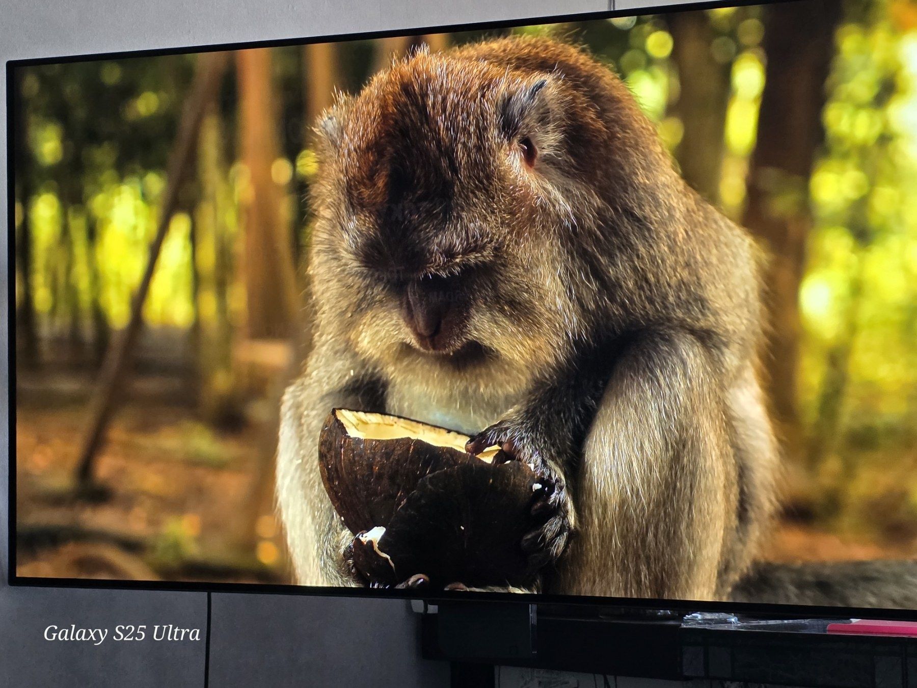 В гаранция LG OLED OLED55B23LA, 55" (139 см) Smart,4K 100hz