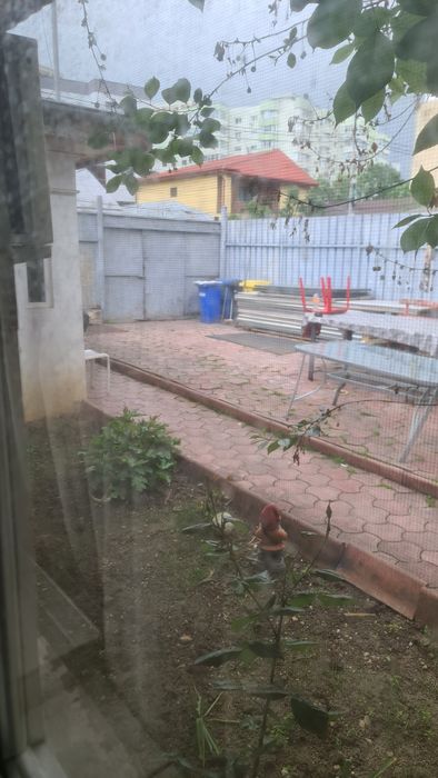 Casă cu 3 camere și curte de închiriat