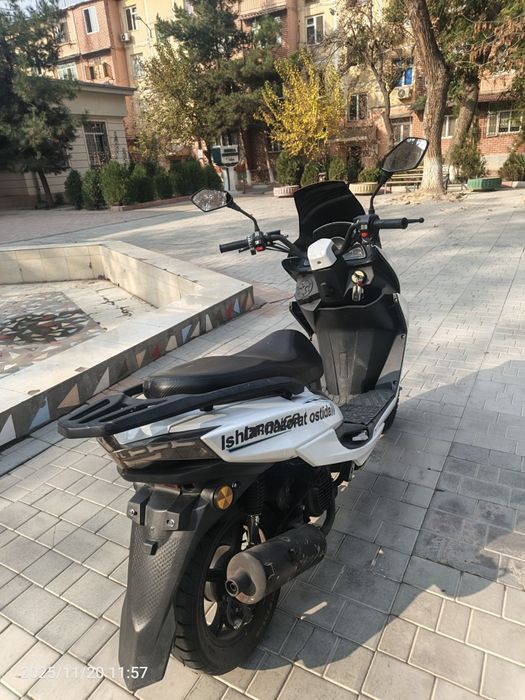 Tiger srochna sotiladi