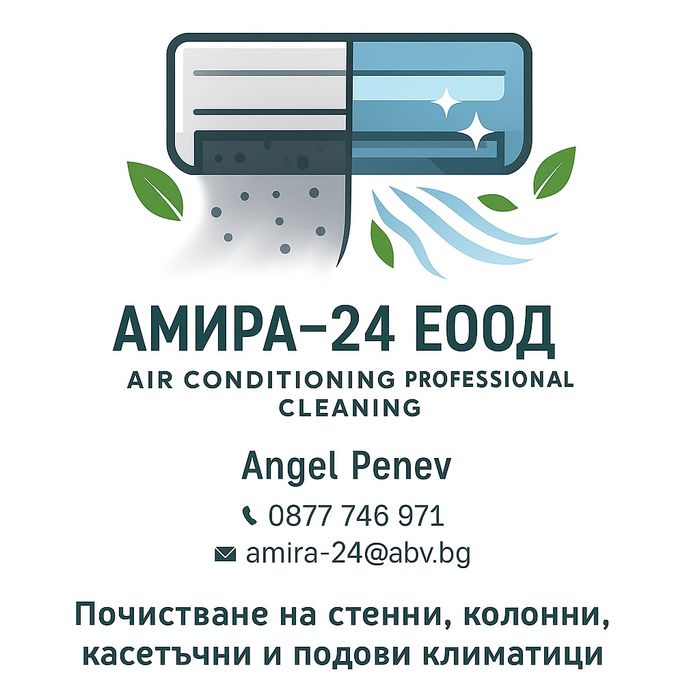 Професионално почистване/Professional cleaning