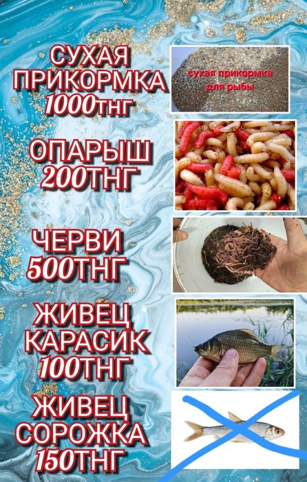 Живец карасик в наличие