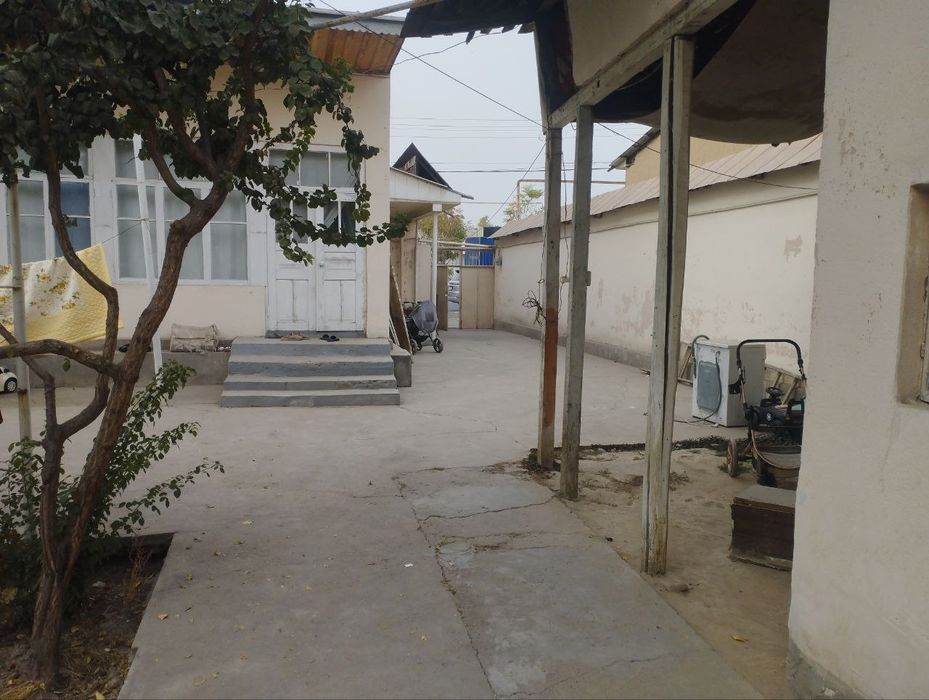 Zangi ota ziyoratgohda 800 metr otganda . uy xolati ortacha