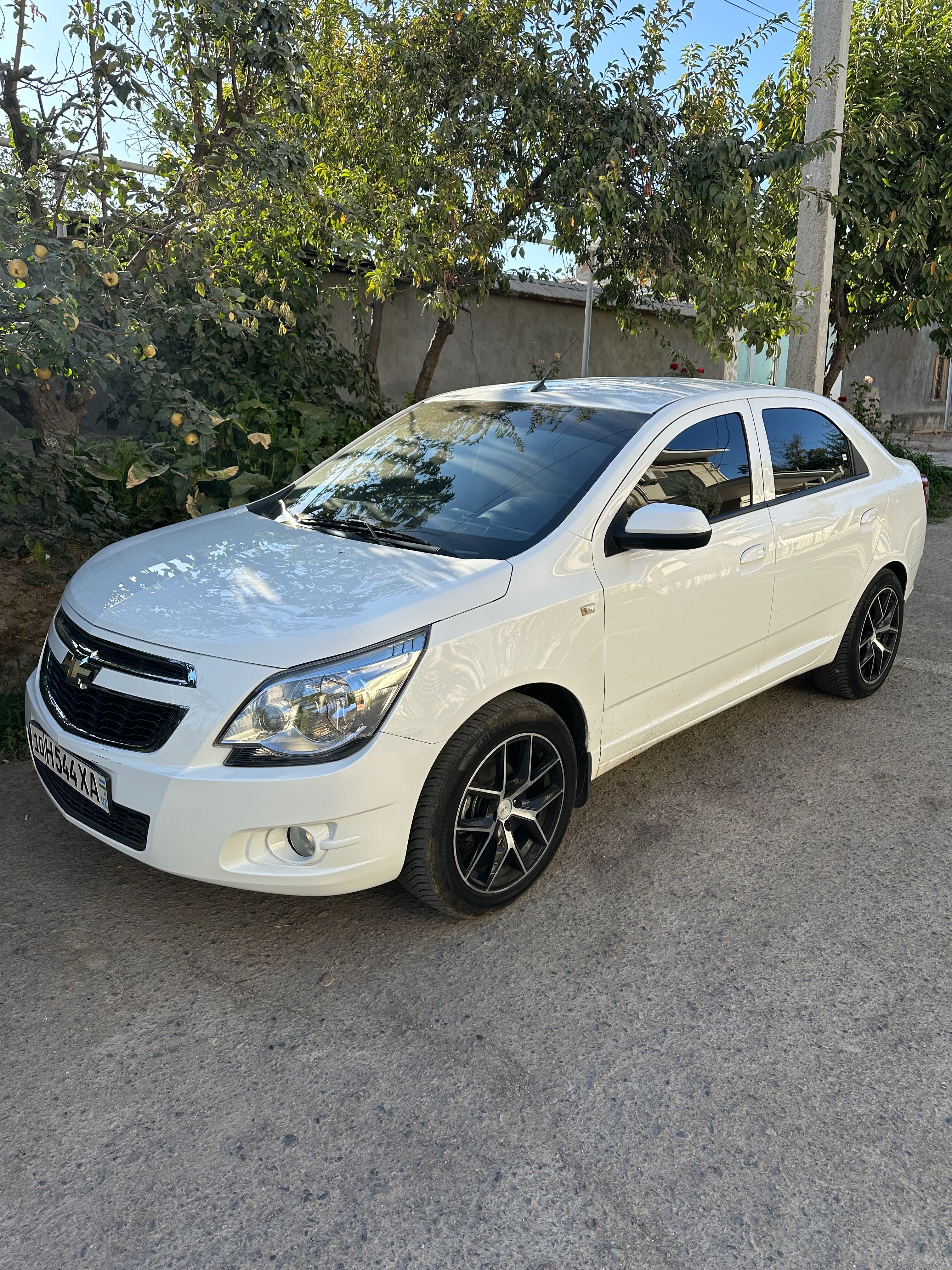 Cobalt 2020 aftamat