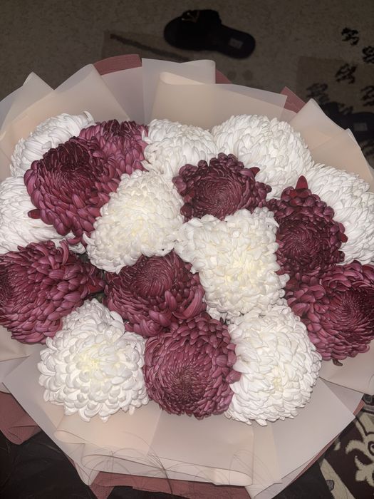Цветы винные хризантемы свежие