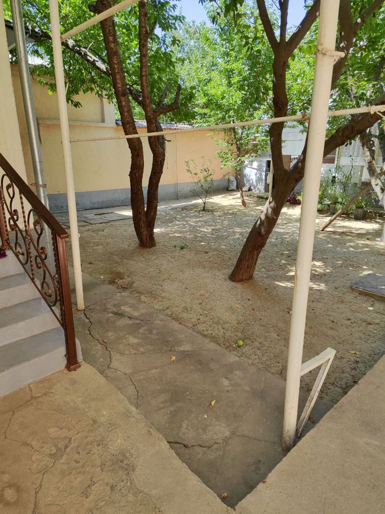 Bodomzor Uchastka