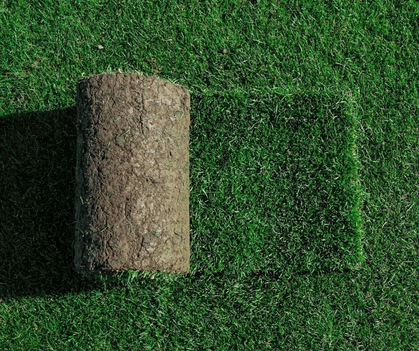 Gazon rulou premium oriunde in tara