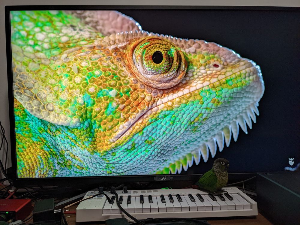 Монитор Asus ROG Strix XG43UQ (VA, 43”, 144 Hz, HDR, 1 ms, FreeSync)