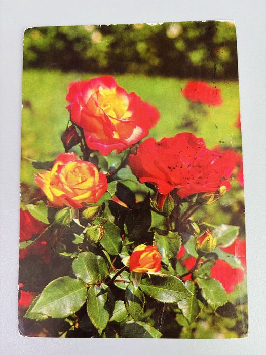 Советские открытки