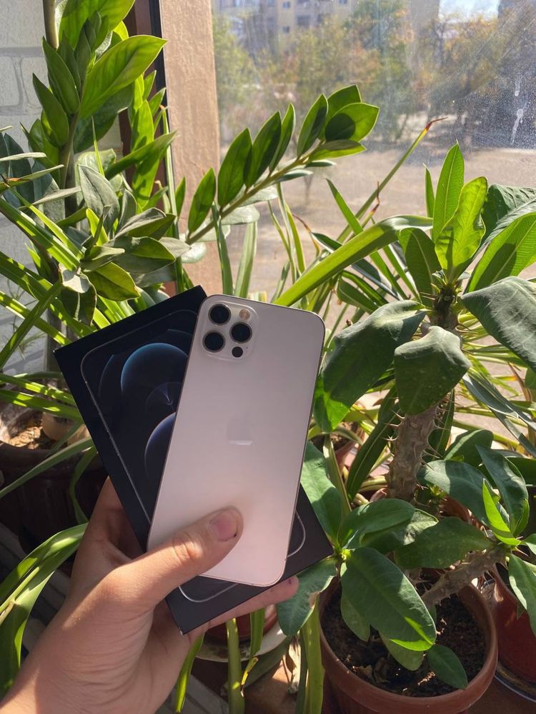 Iphone 12 pro ideal holatda 340$ kelishamiz yana