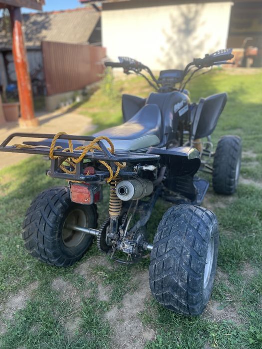 Avt bashan 240cc de vanzare