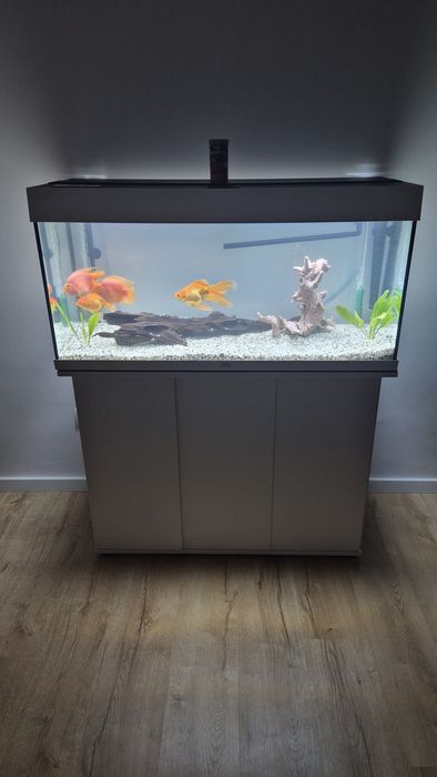 Vând Acvariu Juwel Rio 180l
