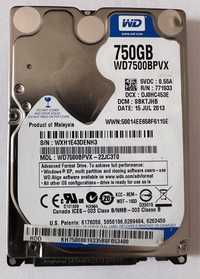 Hard Disk Laptop WD Blue 750 GB