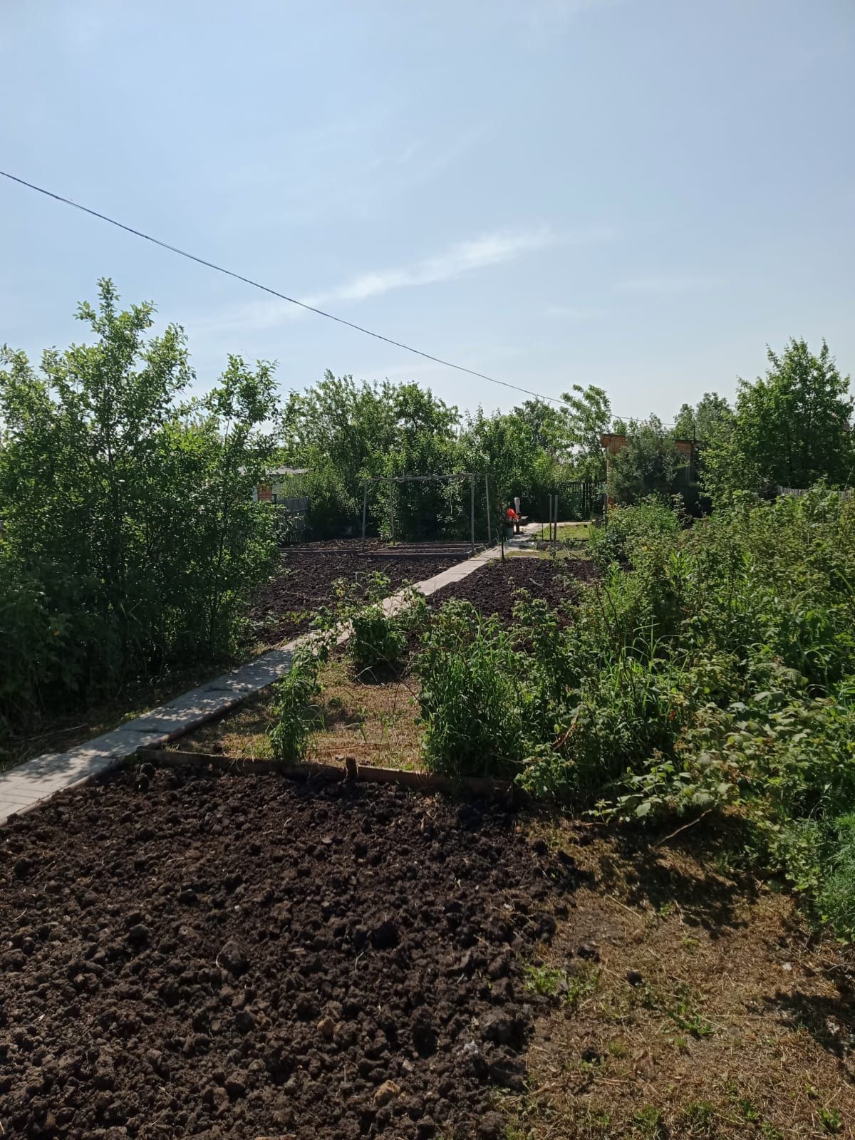 Срочно продам дачу