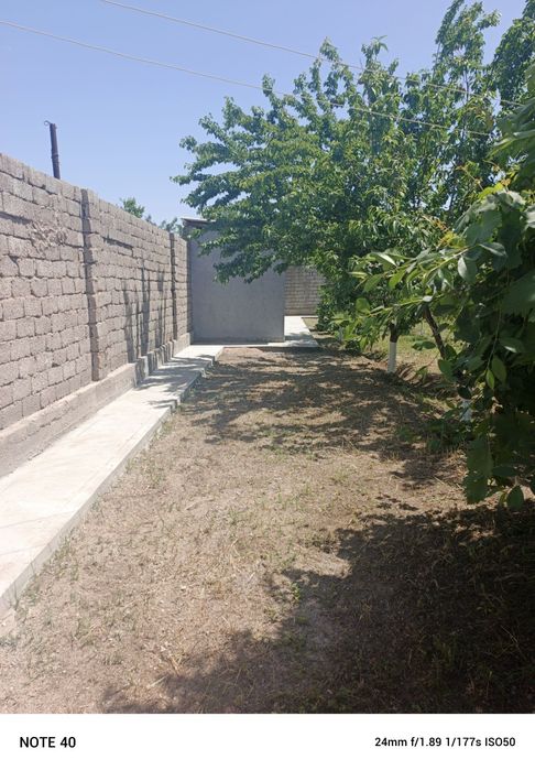 Toytepa dacha 6 sotix srochna