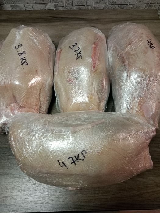 Продам тушки ГУСЕЙ!!!