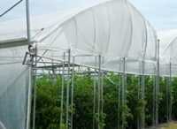 Plasa ALBA TERMO-REFLECTIVA -Protecție culturi/solarii/grădini 45gr/mp