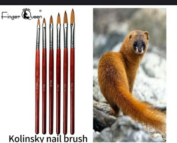 Set: 3 Pensule Kolinsky cu păr sintetic, limbă de pisică, artă