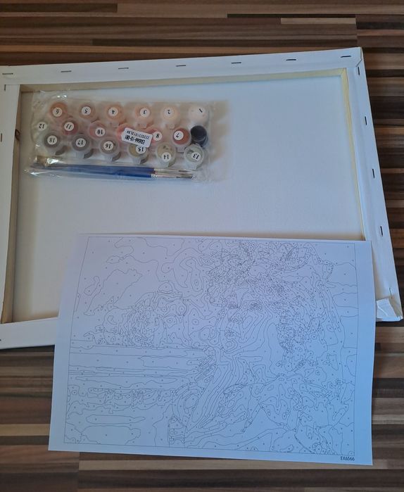 !!Намаление!! Комплект "Рисуване по номера" момиче с рози