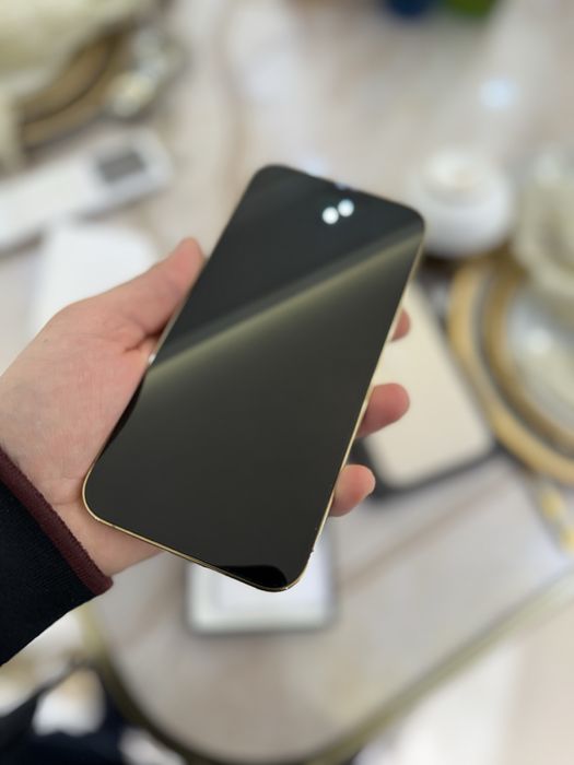 Iphone 13 pro max srochna