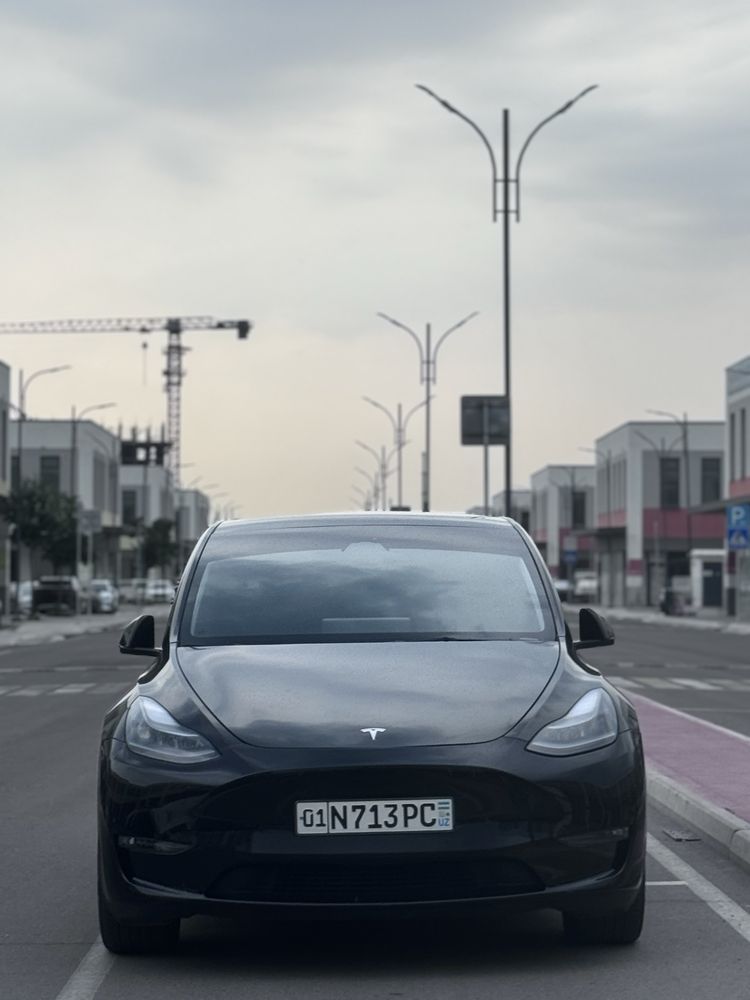 2023 Tesla dual mator
