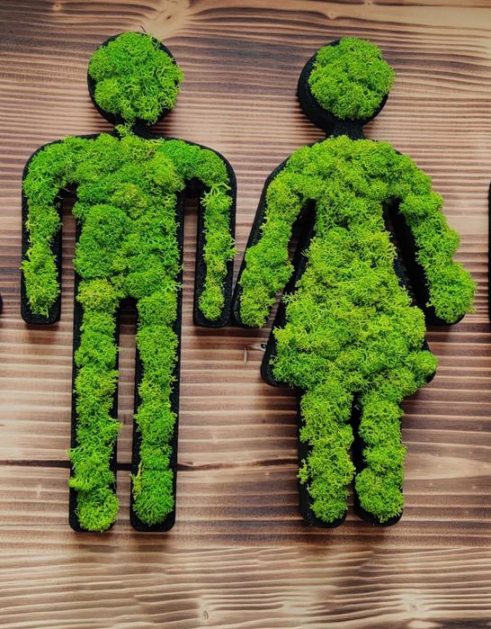 Semn toaleta licheni