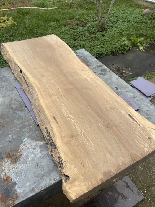 2 blaturi de nuc uscate semi finisate