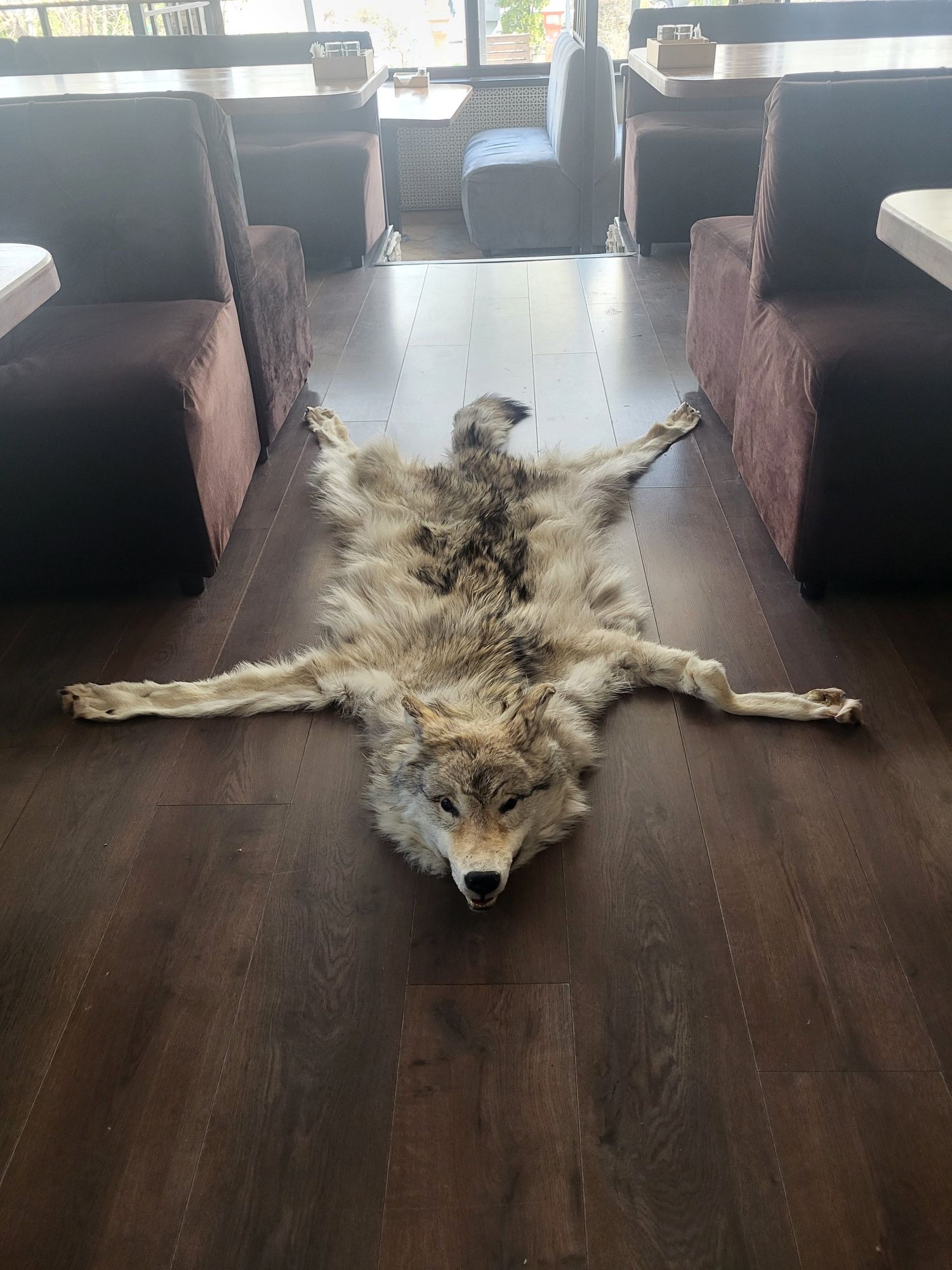 Продам коврик из волка