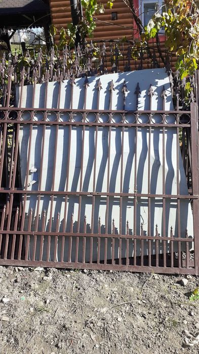 Porti si gard din fier vopsit