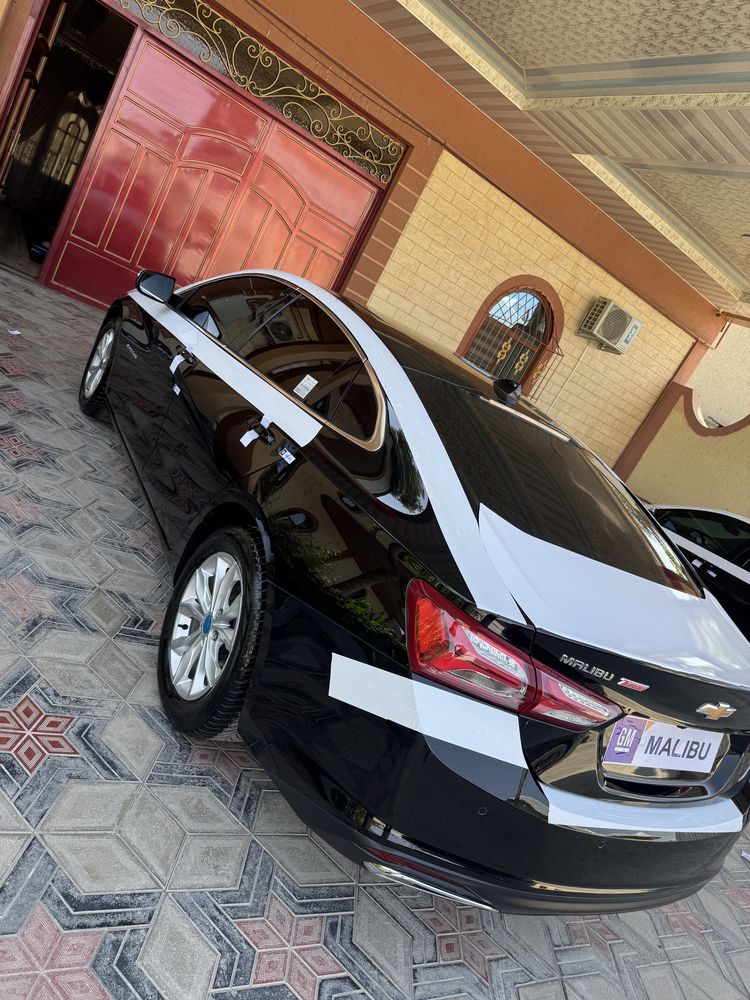 Malibu malibu premer 2022