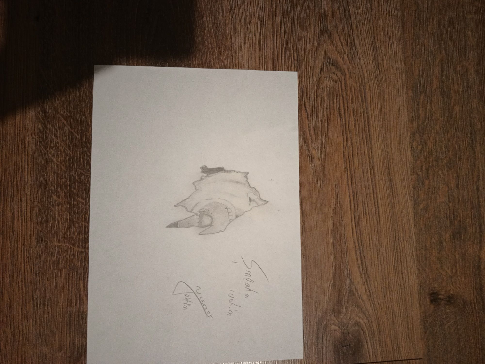 De vânzare desene in creion 15-20 lei