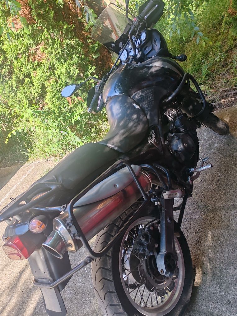 Triumph Tiger 955 I an 2001