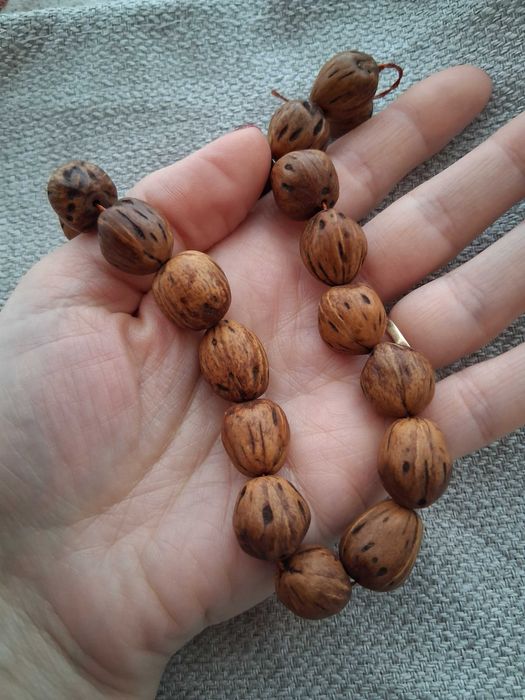 Бровница Дълголетие