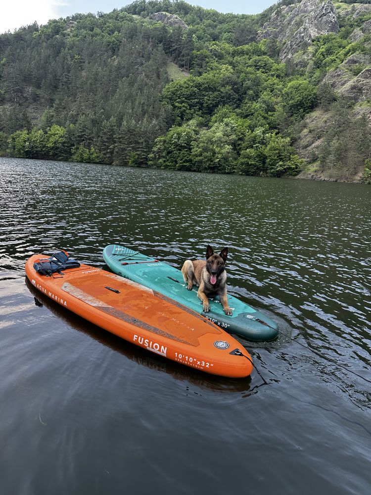 Sup (stand up paddle board) de inchiriat