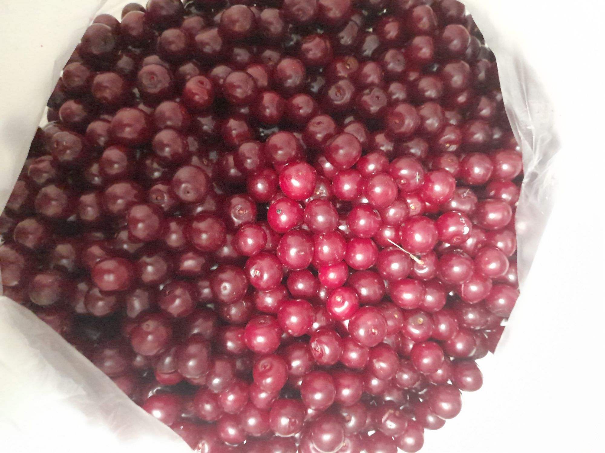 Продам вишню с куста, свежую местную