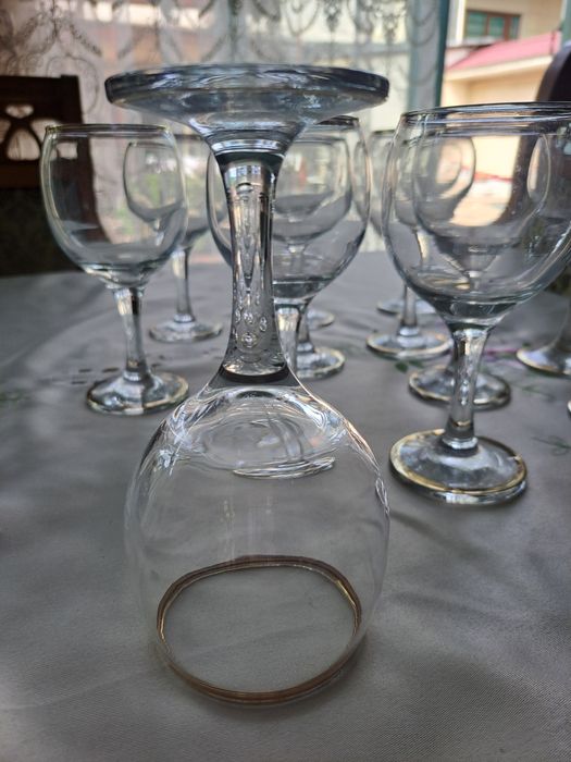 Bakal 12 dona yangiday